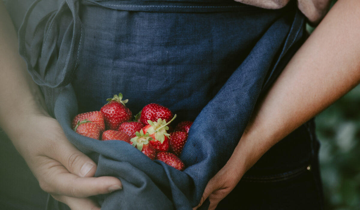 Fraises